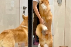 10d826f0de671c394576