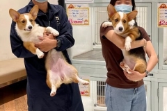 414f6a6792f050ae09e1