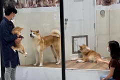 421d1f35e7a225fc7cb3