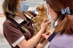 5fd77dff856847361e79