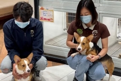 8253a17b59ec9bb2c2fd