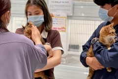 c88597ad6f3aad64f42b