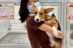 cbc59ded657aa724fe6b