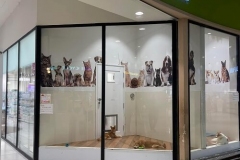 d2bdf2950a02c85c9113