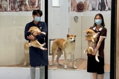 f42cae04569394cdcd82