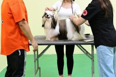 317743569_701177101536194_7918741332808218413_n