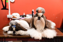 318084015_504678314976478_3979130489676909025_n